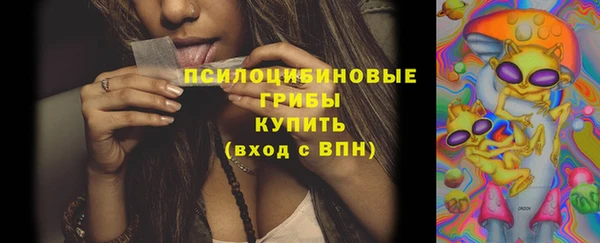 стаф Абдулино