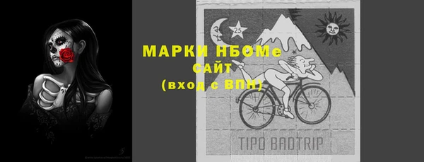 индика Новозыбков