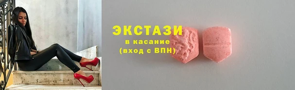 индика Новозыбков