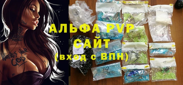 хмурый Абаза