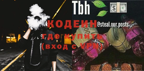 хмурый Абаза