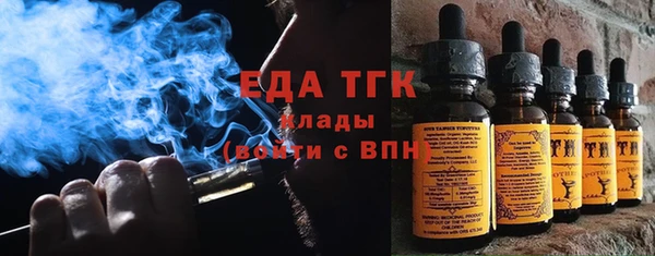хмурый Абаза