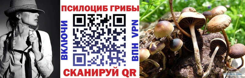 Псилоцибиновые грибы Magic Shrooms  где продают   Торжок 