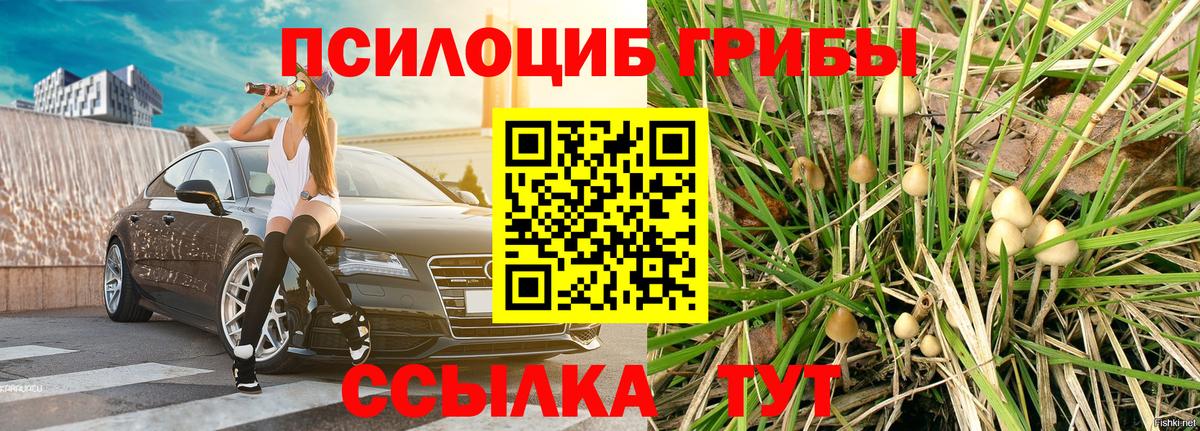 Псилоцибиновые грибы ЛСД  Вход с VPN  Торжок 